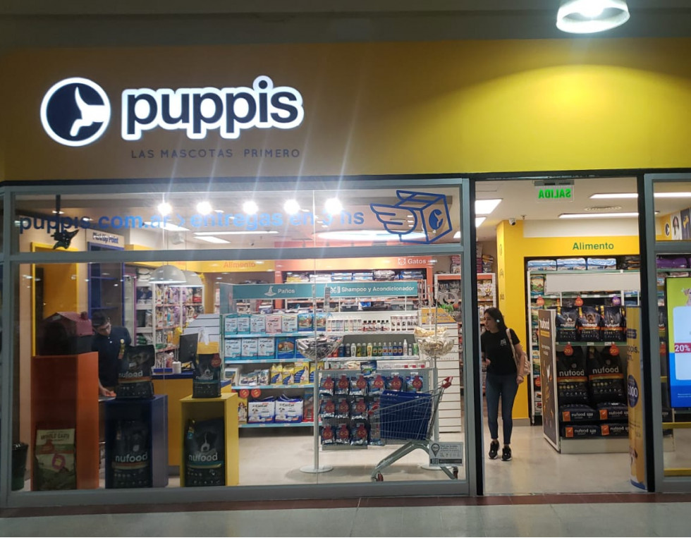 Puppies foto