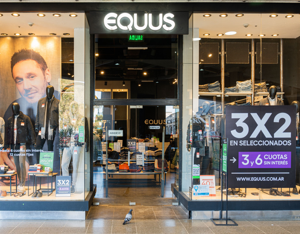 Equus foto